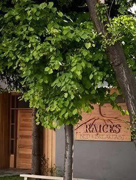 Raices Bed And Breakfast Coyhaique Exterior foto